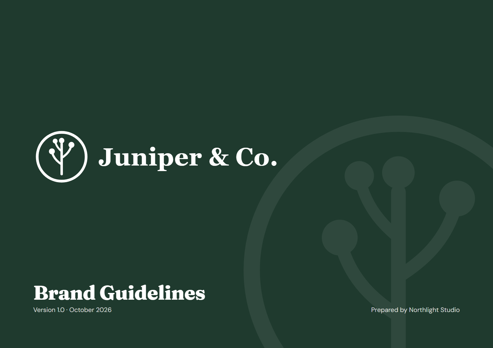 Guidelines cover page with the brand logo and title